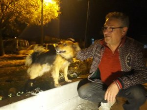 Oto kaportacıya giren tır ortalığı savaş alanına çevirdi