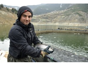 12 bin nüfuslu ilçeden milyon nüfuslu ülkelere balık ihraç ediliyor