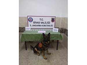 Jandarmanın bir haftalık asayiş bilançosu