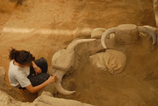 Köpek 15 bin yıl önce evcilleştirilmiş