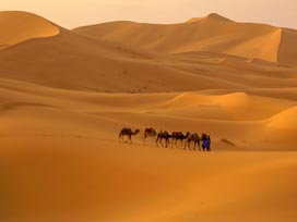 İslam yayılırken sahte peygamberler