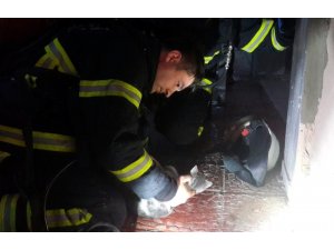 Yangında dumandan etkilenen kediye itfaiye şefkati