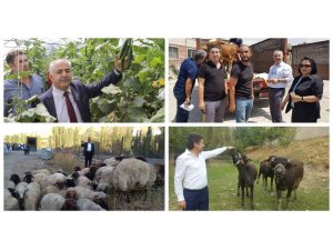 Van’da 251 genç çiftçiye 7 milyon 530 TL’lik hibe desteği verildi