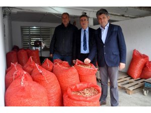 Geçen yıl çöpe giden arpacık soğanı bu sene 7 liradan satılıyor