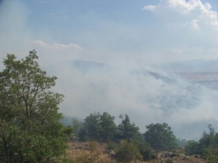 Kadınhanı'nda orman yangını