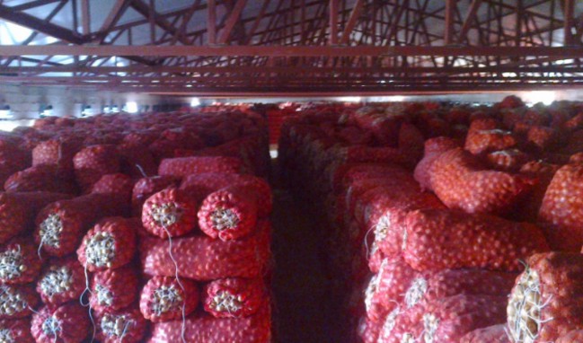 Erdoğan "Basacağız" demişti! 45'i birden basıldı...