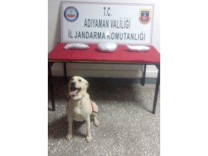 Jandarma uyuşturucu madde ele geçirdi