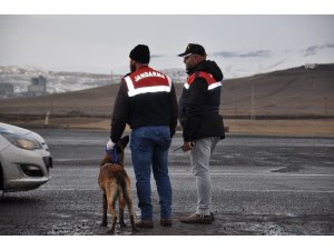 Kars’ta, 30 ayrı noktada asayiş uygulaması