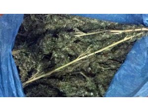 Midyat’ta 970 gram esrar ele geçirildi