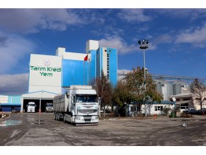 Buzağı ölümlerini önlemek için "probiyotik mama" ürettiler