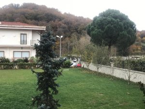 Yalova’daki villanın kuyusunda arama yapılıyor