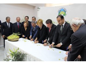 Dünya Zeytin Gününde 1. Zeytin Festivali