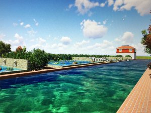 Beyşehir'e kurbağa üretim çiftliği kuruluyor