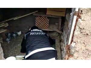 Evin bahçesindeki kümeste 592 adet uyuşturucu hap ele geçirildi