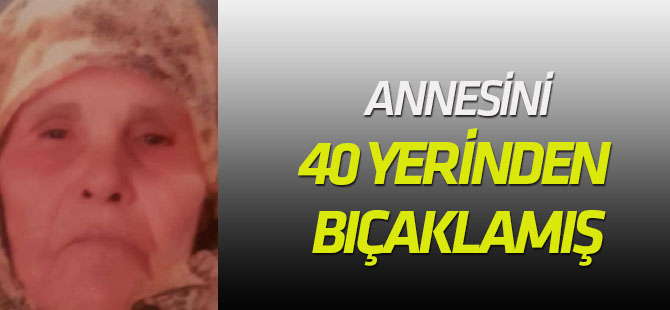 Annesini 40 Yerinden Bıçaklamış