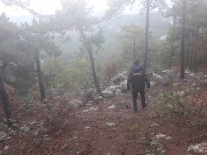 Avlanmak için evinden çıkan avcı ormanlık alanda ölü bulundu