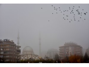 Güneydoğu'da ulaşıma sis engeli