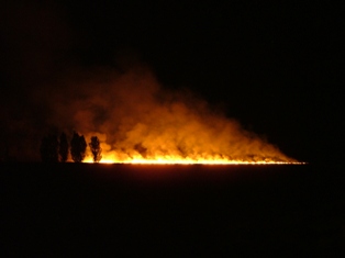 Beyşehir’de anız yaktığı belirlenen çiftçilere ceza