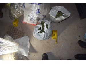 Sivas’ta 27 kilo Hint keneviri ele geçirildi