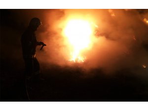 Başkale’de bin 500 bağ ot kül oldu