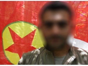 Diyarbakır’da bir terörist sağ ele geçirildi