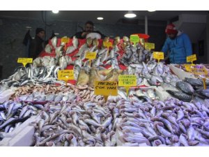 Karadeniz’de balık bolluğu