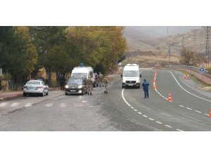 Jandarmanın uygulamasında aranan şahıslar yakalandı