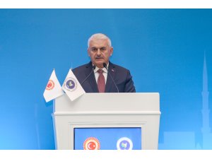 APA 11. Genel Kurulu