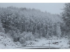 Yıldız Dağları beyaza büründü