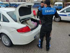 Kahramankazan’da kaçak et operasyonu