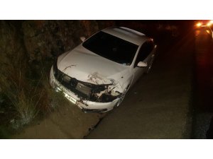 Direksiyon hâkimiyetini kaybedince kaza yaptı