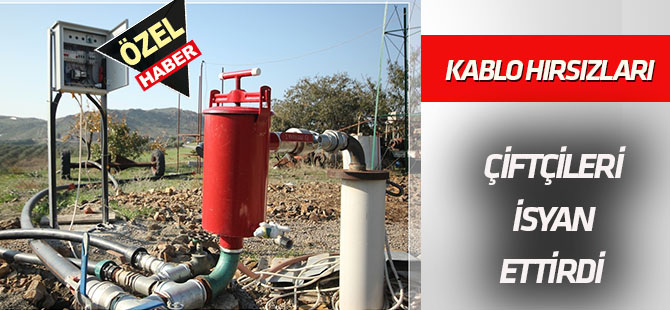 Konya'da kablo hırsızları çiftçileri isyan ettirdi