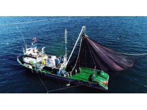 Doğu Karadenizli balıkçılar hamsiyi Batı Karadeniz’de arıyor