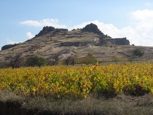 Güz çiğdemleri