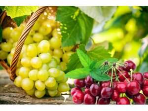 Üzüm ve kiraz ihracatçıları Güney Afrika pazarına yöneldi