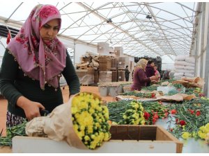 Avrupa’nın çiçeği Antalya’dan