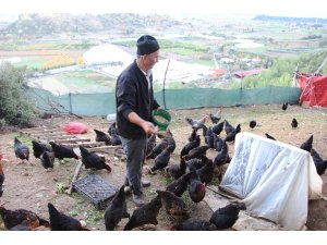 Son maaşı ile çiftlik kurdu, koli koli yumurta topluyor