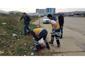 Hastane otoparkında boşandığı karısını 19 bıçak darbesiyle öldürdü