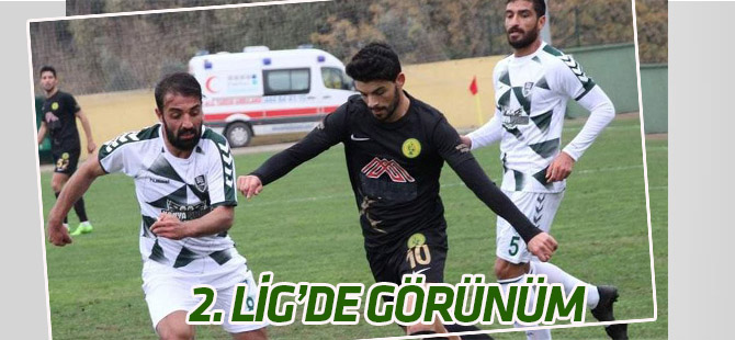 TFF 2. Lig'de görünüm
