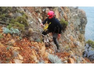 AKUT’tan köpek kurtarma operasyonu