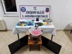 Hayvanları Koruma Derneği adı altında kumar