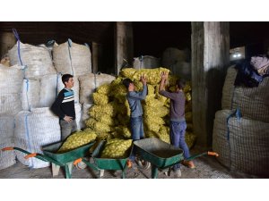 Ahlat’tan Irak’a patates