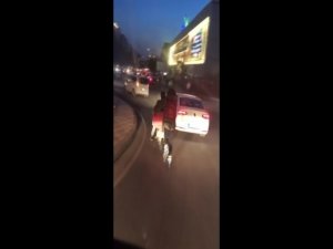 Patenli gencin tehlikeli eğlencesi