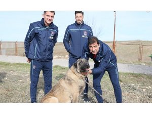 Karaman ve Sosa, kangal çiftliğini ziyaret etti