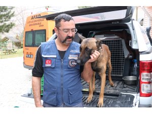 Aramalara ara verildi