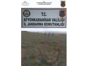Direkleri keserek çalan şahıs yakalandı