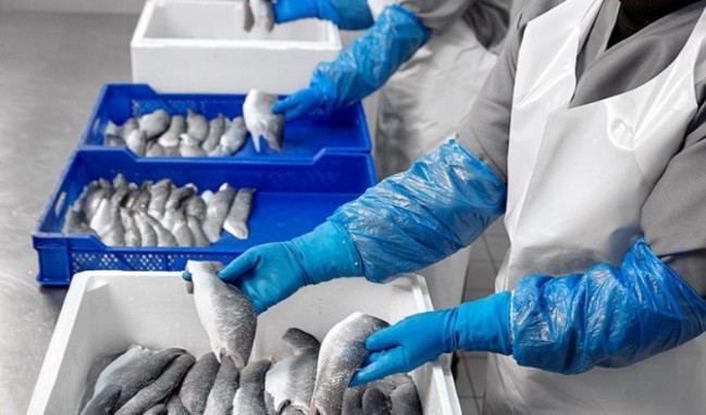 Balık devi ‘konkordato’ talep etti!