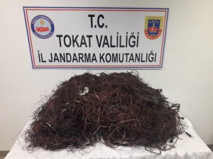 Çaldıkları kabloyu yakarken jandarmaya yakalandılar