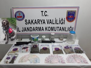Jandarma kasım ayı uyuşturucu raporu: 9 tutuklama