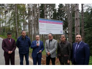 Atatürk Köşkü Ormanı'nda 1 milyondan fazla zararlı böcek tespit edildi